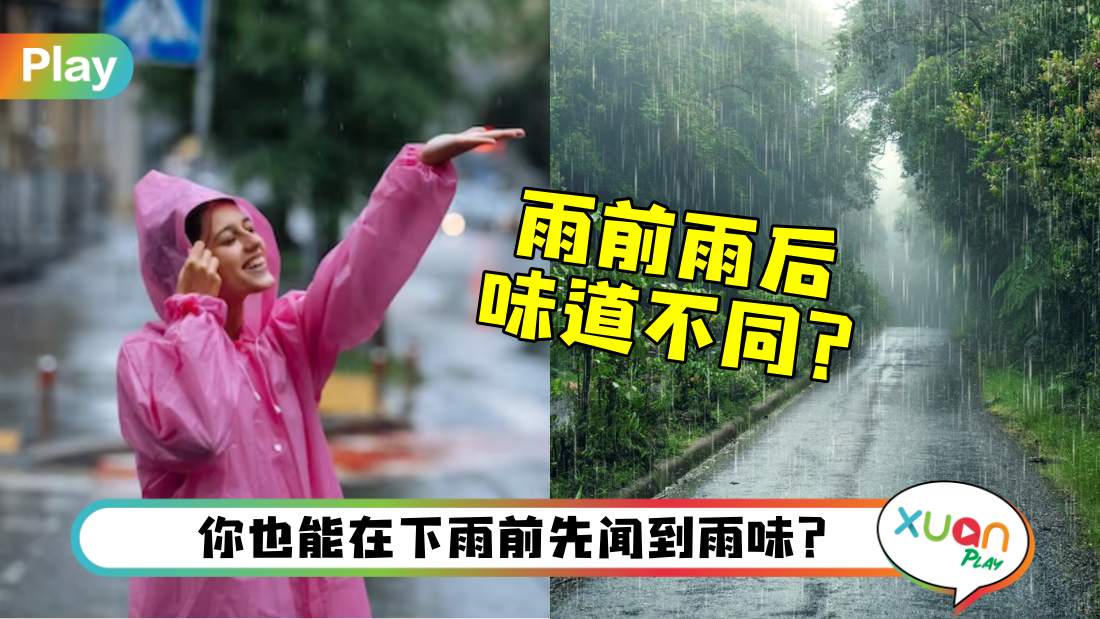 知多点I 可以「闻」到快下雨的味道?到底雨味从哪来? | XUAN