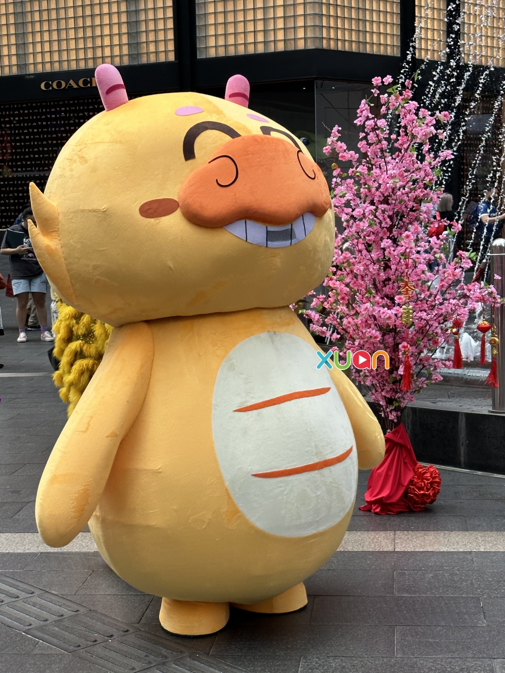 Astro Cny Song 2024 Image to u